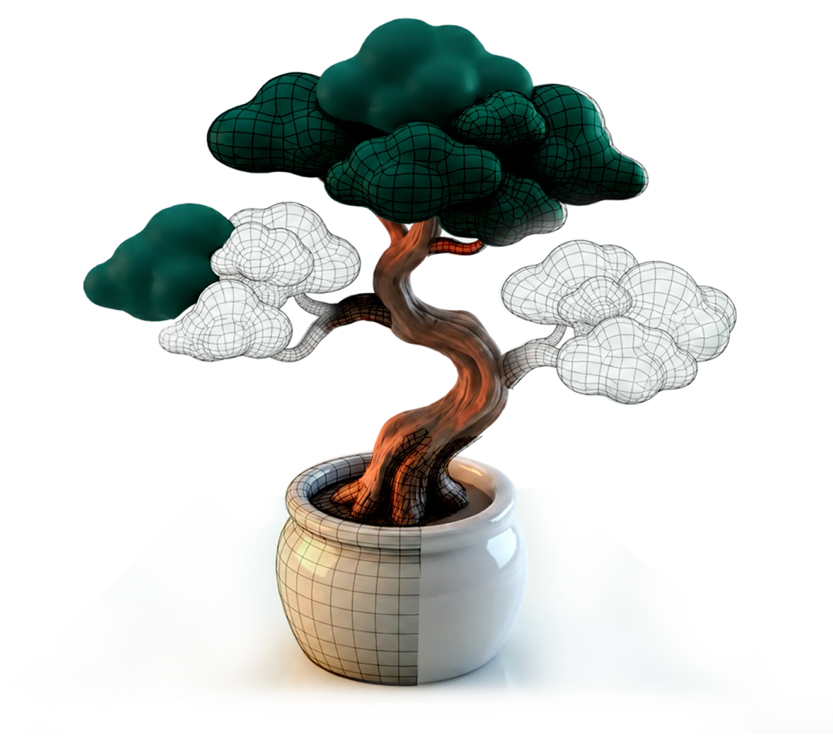 Bonsai tree